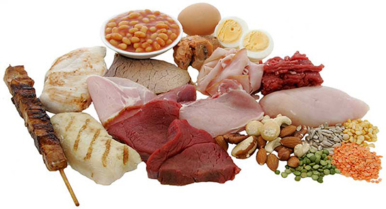protein ve besin