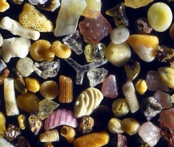 Kum taneleri mikroskop altında böyle görünür