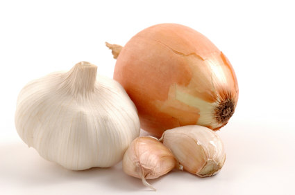 Head of garlic and an onion on a white background.